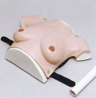 Göğüs tümörü muayenesi için kadın üst vücut hastane simülatörü boyut göğüs modreate