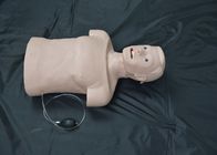 Yetişkin Yarım Vücut Entübasyon CPR İlk Yardım Mankenleri