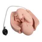Tıbbi Doğum Gerçekçi Doğum Simülatörü Doğum Eğitim Modelleri