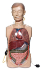 Klinik Eğitim için Anatony Organlı Şeffaf Gastrik Lavaj Simülatörleri