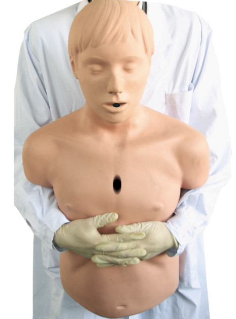 Half-Body Airway Modeli / Heidegger Yetişkin İlkyardım İçin CPR Resüsitasyon Manikini
