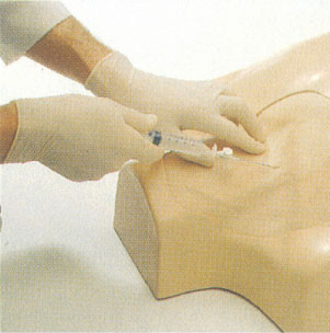 IV Torso klinik simülasyon jugular, subklaviyen, femoral ven ponksiyon eğitimi meslektaşları için