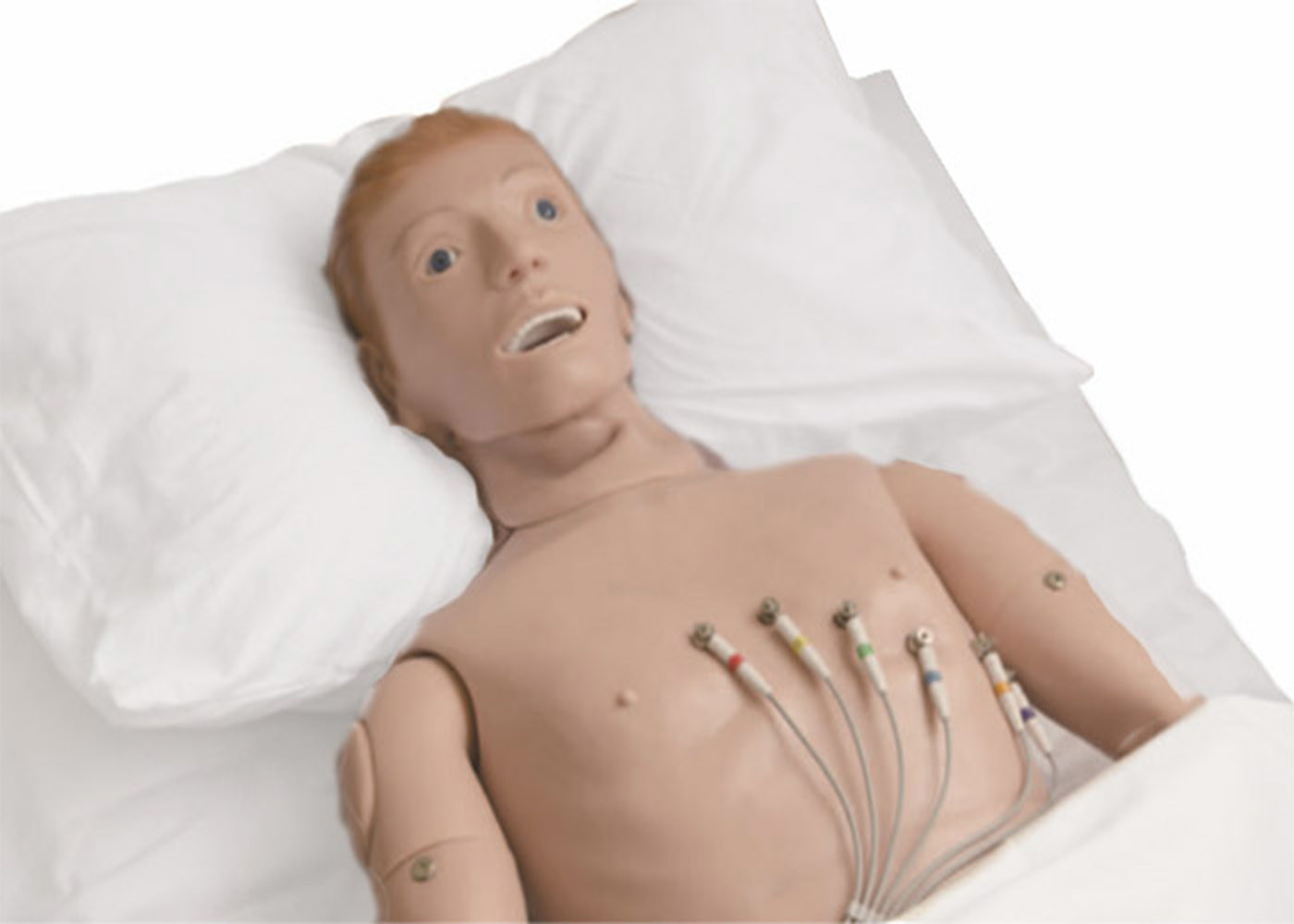 Hastaneler İçin Yüksek Teknoloji Elastik PVC Elektrokardiyogramlı Oto Kültür Simülatörü EKG&amp;#39;yi Öğreniyor