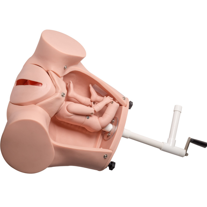 SGS PVC Eğitim Göbek Kordonu ile Bebek Doğum Simülatörü