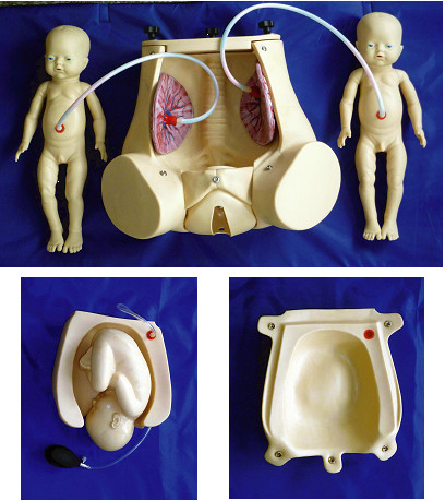 Doğurganlık simülatörü olan fetus plasenta ile obstetrik beceri gösterimi
