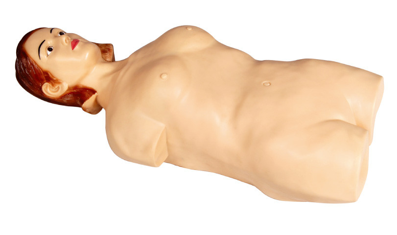 Kadın Half - Body Abdominal Palpasyon Simülatörü Manikini, Üniversite İçin, Hastane Öğrenimi