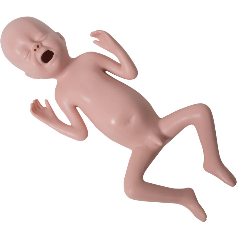 Palpasyonlu Prematüre Bebek Pediatrik Simülasyon Mankeni