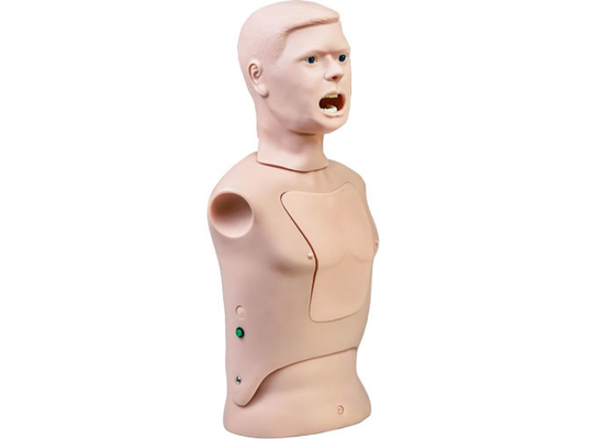 Nükleik Asit Algılama PVC Hemşirelik Mankeni Boğaz Çubuğu Eğitim Modeli
